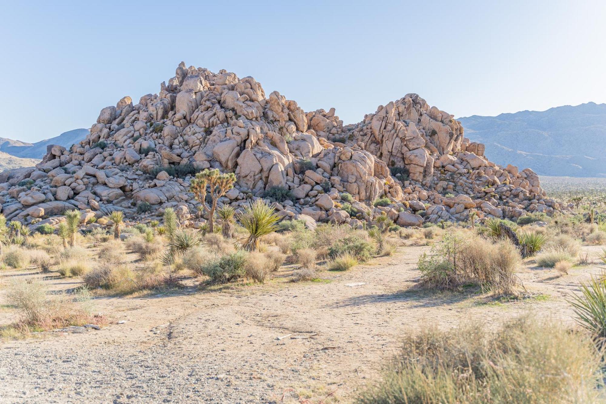 The Cactus Villas at Joshua Tree: Desert Oasis with Pool & Hot Tub Twentynine Palms Exterior photo