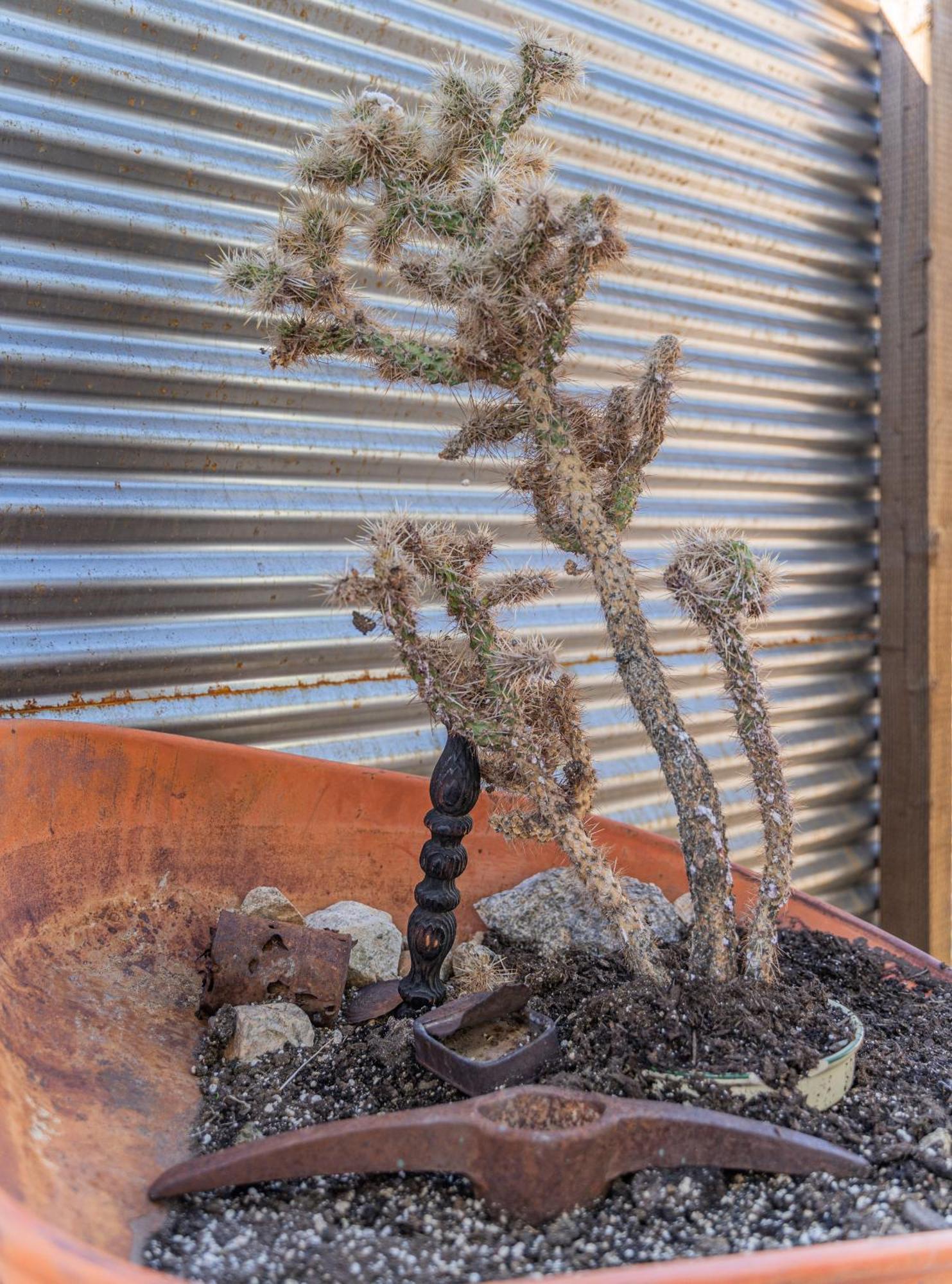 The Cactus Villas at Joshua Tree: Desert Oasis with Pool & Hot Tub Twentynine Palms Room photo